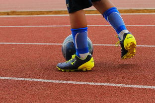 九游体育官网入口-中小学体育运动兴趣培养路径研究，中小学体育运动兴趣培养路径研究论文